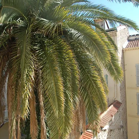 Apartment La Tour Cannes